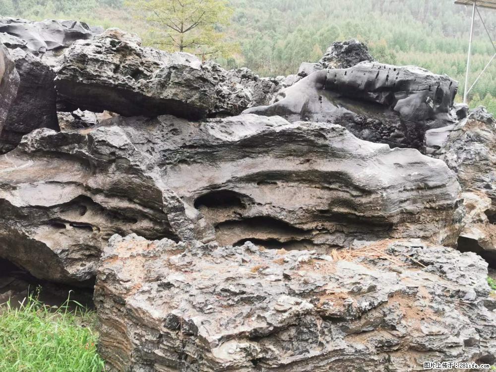 风景石、假山石大量有货，有需要的欢迎联系 - 新手上路 - 朝阳生活社区 - 朝阳28生活网 cy.28life.com