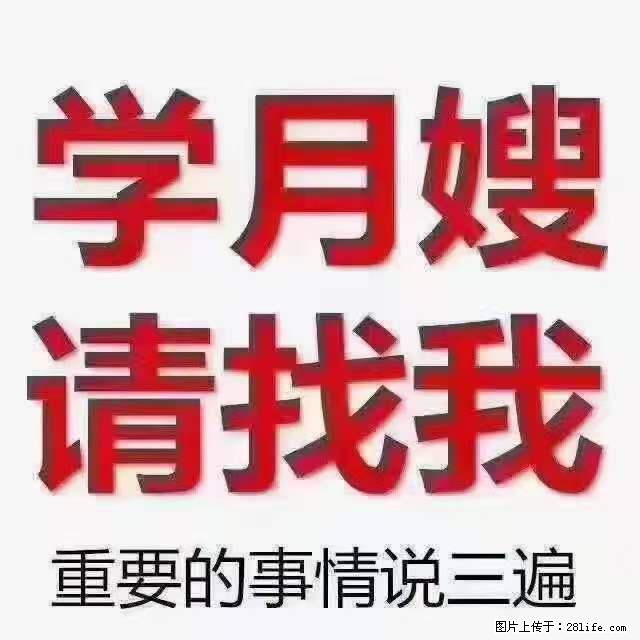 为什么要学习月嫂，育婴师？ - 其他广告 - 广告专区 - 朝阳分类信息 - 朝阳28生活网 cy.28life.com