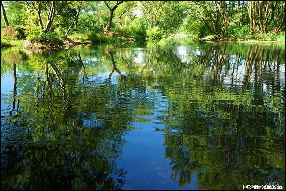 【春天，广西桂林灌阳县向您发出邀请！】熊家寨湿地公园 - 游山玩水 - 朝阳生活社区 - 朝阳28生活网 cy.28life.com