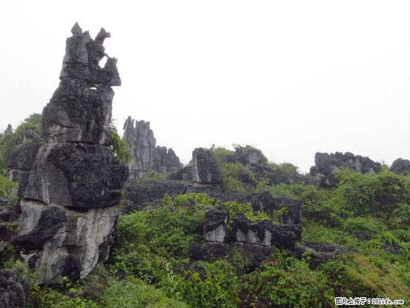 桂林旅游名城景点：灌阳文市石林 - 游山玩水 - 朝阳生活社区 - 朝阳28生活网 cy.28life.com