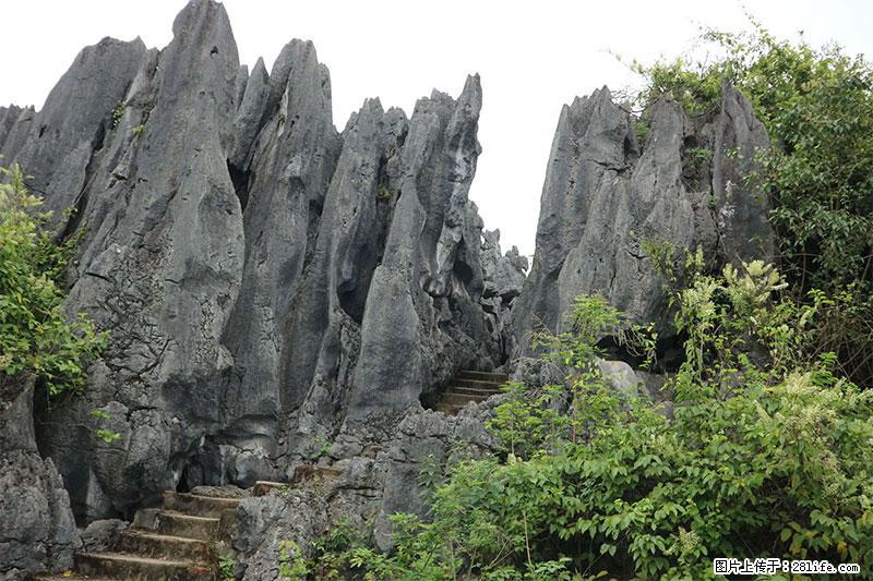 桂林旅游名城景点：灌阳文市石林 - 游山玩水 - 朝阳生活社区 - 朝阳28生活网 cy.28life.com