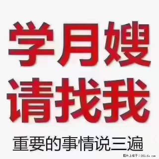 为什么要学习月嫂，育婴师？ - 朝阳28生活网 cy.28life.com