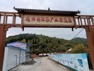 【灌阳县油茶产业示范区】一个有着充实的精神生活的人,对待身外之物自会有一种淡泊的态度 - 朝阳28生活网 cy.28life.com