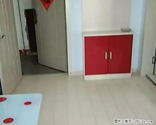 月付1000元公寓秋月小区2室6楼70平豪华装修家电全 - 朝阳28生活网 cy.28life.com