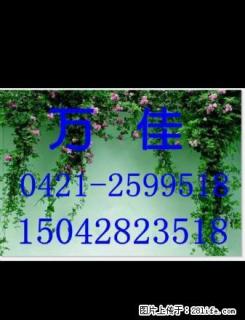 珠江二阳光佳苑11楼3室精装家电全拎包住16000 - 朝阳28生活网 cy.28life.com