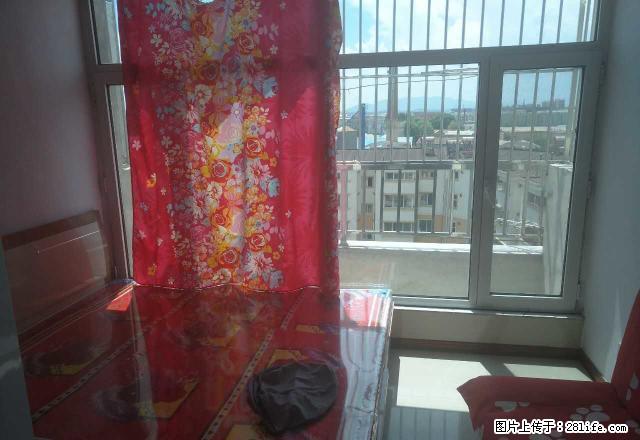 兴安小区公寓月付1200元精装修2室1厅3层78平家电全 - 房屋出租 - 房屋租售 - 朝阳分类信息 - 朝阳28生活网 cy.28life.com