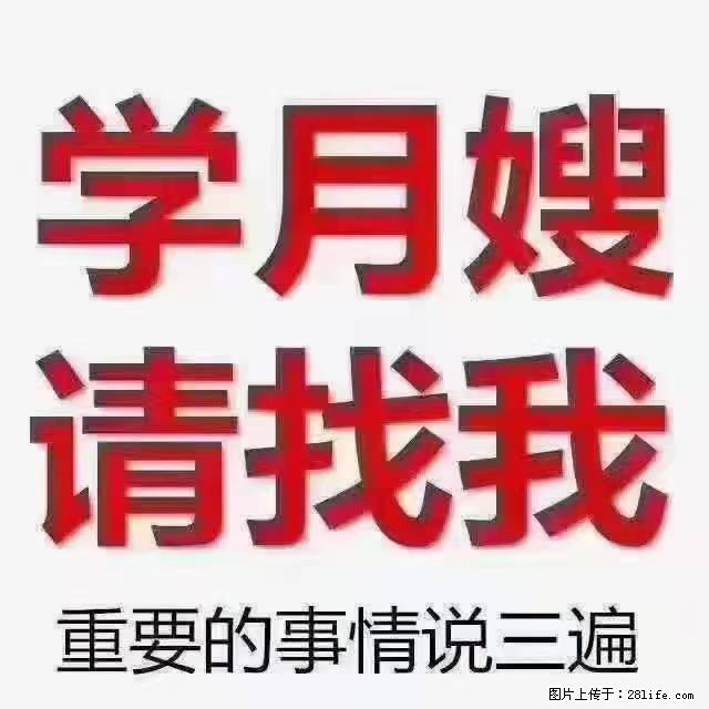 【招聘】月嫂，上海徐汇区 - 其他招聘信息 - 招聘求职 - 朝阳分类信息 - 朝阳28生活网 cy.28life.com