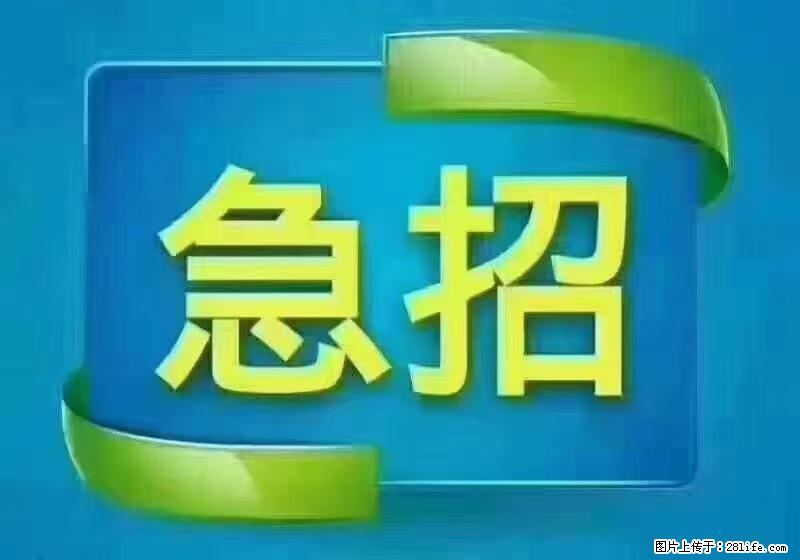 急单，上海长宁区隔离酒店招保安，急需6名，工作轻松不站岗，管吃管住工资7000/月 - 建筑/房产/物业 - 招聘求职 - 朝阳分类信息 - 朝阳28生活网 cy.28life.com