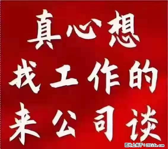 【上海】国企，医院招两名男保安，55岁以下，身高1.7米以上，无犯罪记录不良嗜好 - 其他招聘信息 - 招聘求职 - 朝阳分类信息 - 朝阳28生活网 cy.28life.com