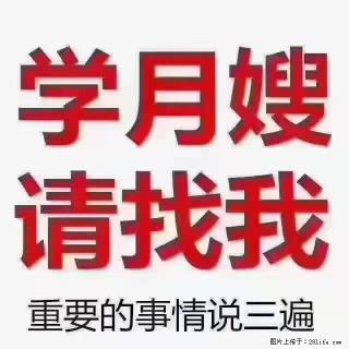 【招聘】月嫂，上海徐汇区 - 朝阳28生活网 cy.28life.com