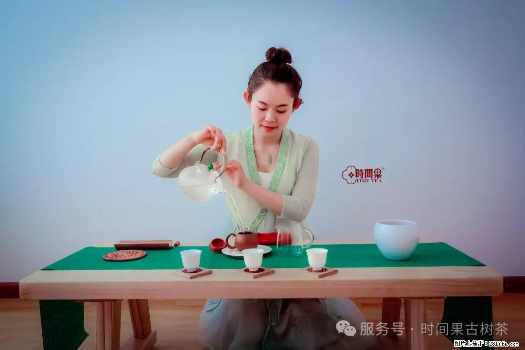 时间果百年古树龙珠普洱生茶 - 购物交流 - 朝阳生活社区 - 朝阳28生活网 cy.28life.com