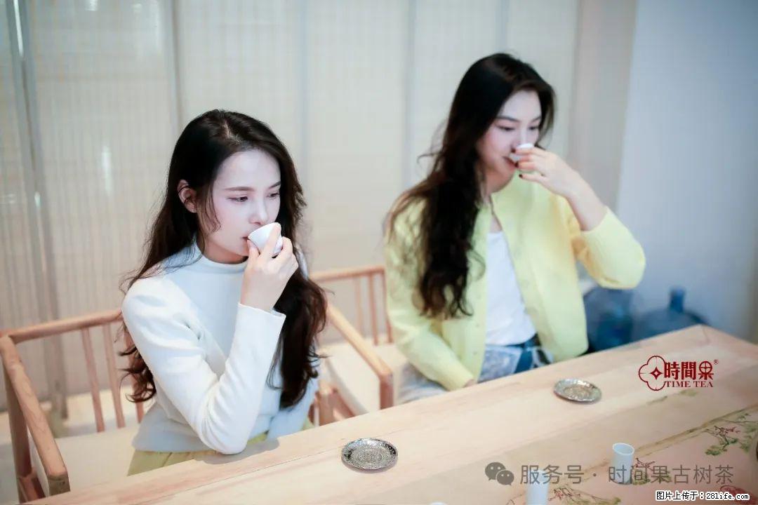 时间果百年古树龙珠普洱生茶 - 购物交流 - 朝阳生活社区 - 朝阳28生活网 cy.28life.com