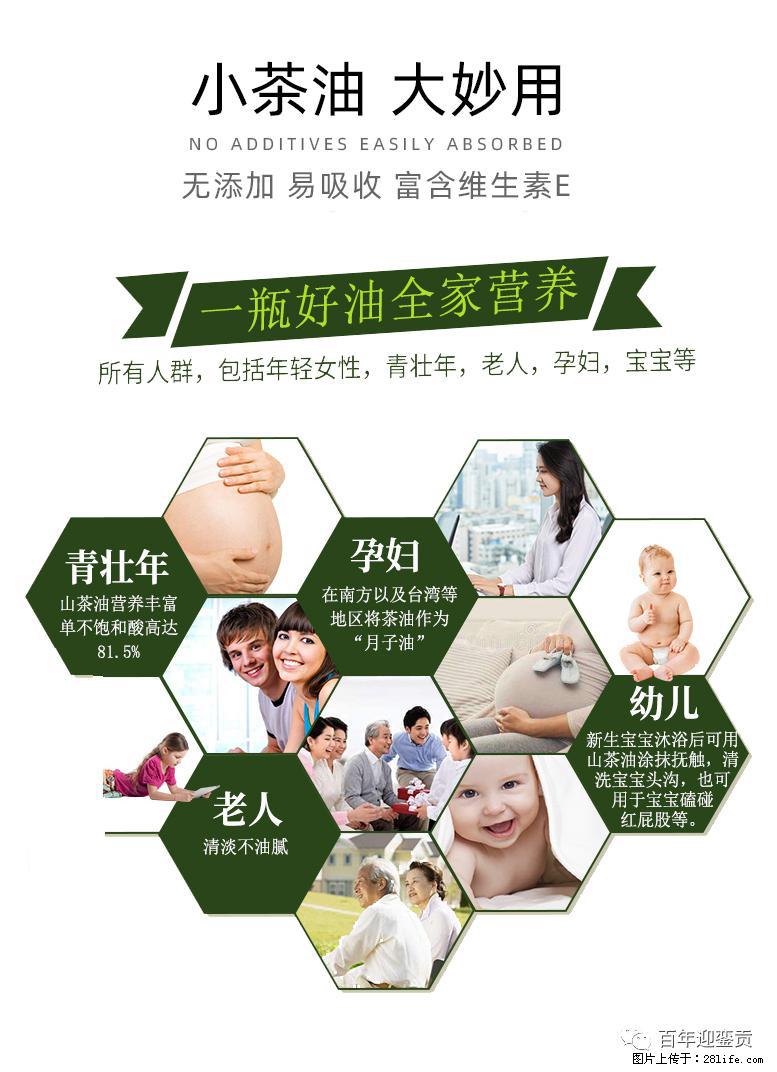 世界没有真相,只有认知,最好的食用油是中国的山茶油! - 朝阳生活资讯 - 朝阳28生活网 cy.28life.com