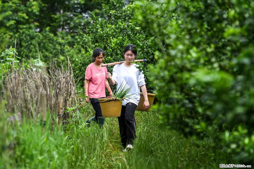 全网追的“扁担女孩”,找了一份暑假工,时薪12元 - 朝阳生活资讯 - 朝阳28生活网 cy.28life.com