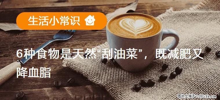 【生活小常识】6种食物是天然“刮油菜”，既减肥又降血脂 - 朝阳生活资讯 - 朝阳28生活网 cy.28life.com