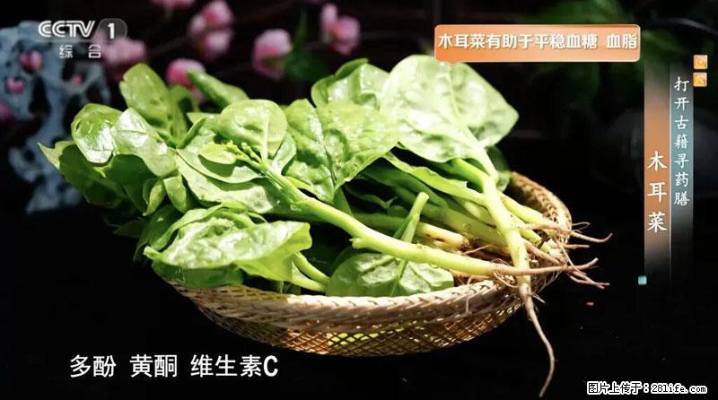 比牛奶补钙还厉害！凉血解毒、稳血糖...这菜冬天必吃，很多人却当草 - 朝阳生活资讯 - 朝阳28生活网 cy.28life.com