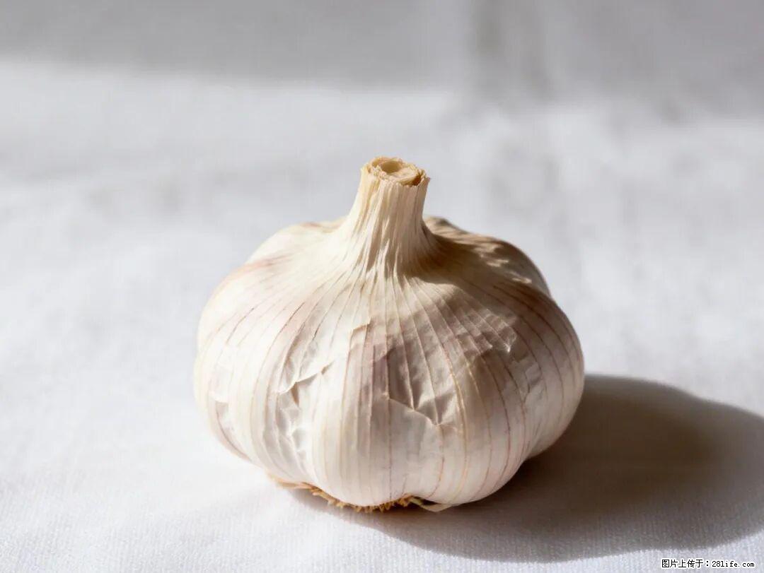 关于大蒜,除了“天然抗生素”,这4个谣言更该警惕! - 朝阳生活资讯 - 朝阳28生活网 cy.28life.com