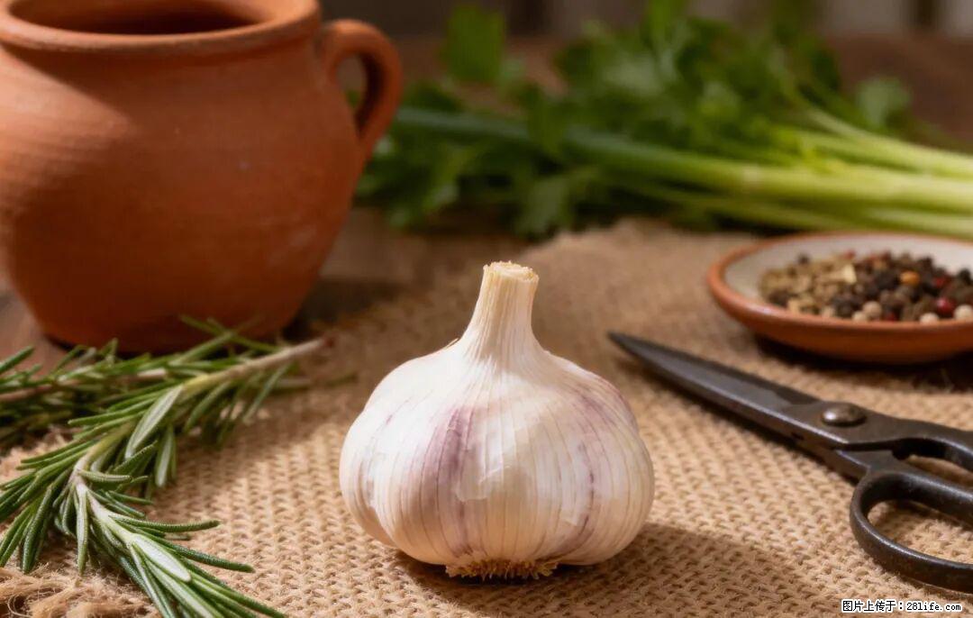 关于大蒜,除了“天然抗生素”,这4个谣言更该警惕! - 朝阳生活资讯 - 朝阳28生活网 cy.28life.com