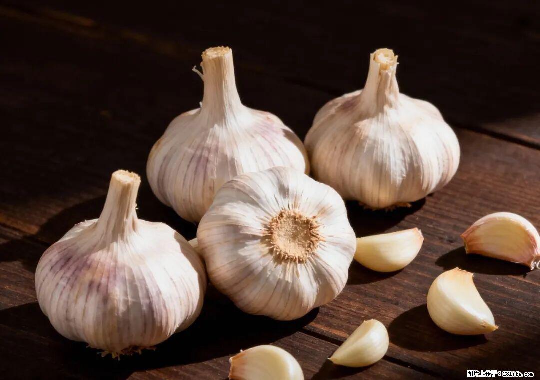 关于大蒜,除了“天然抗生素”,这4个谣言更该警惕! - 朝阳生活资讯 - 朝阳28生活网 cy.28life.com