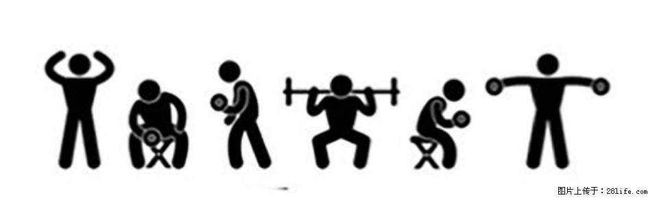 坚持这种运动6个月,心脏有了显著变化!不是跑步,也不是走路 - 朝阳生活资讯 - 朝阳28生活网 cy.28life.com