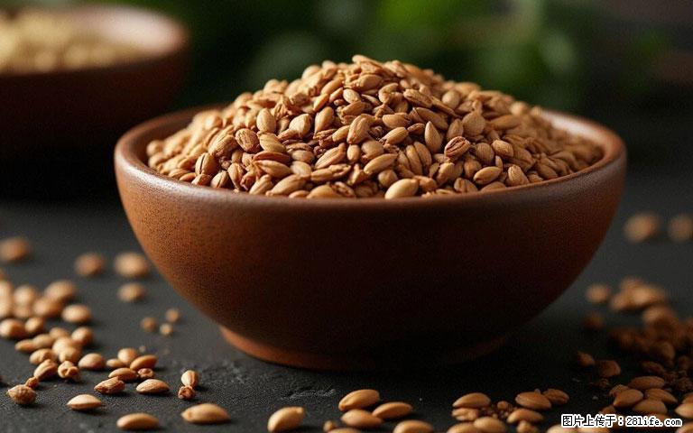 这三苦是三高“克星”，心血管干净不易堵！每天吃一点，指标慢慢降下来~ - 朝阳生活资讯 - 朝阳28生活网 cy.28life.com