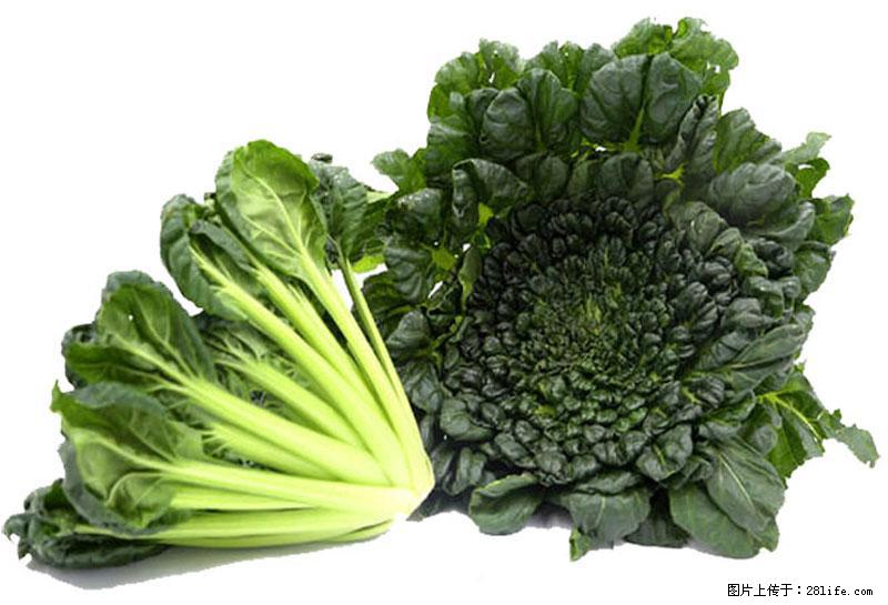 这些蔬菜是“天然钙片”，这6种被医生重点推荐 - 朝阳生活资讯 - 朝阳28生活网 cy.28life.com