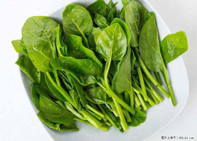 这些蔬菜是“天然钙片”，这6种被医生重点推荐 - 朝阳生活资讯 - 朝阳28生活网 cy.28life.com