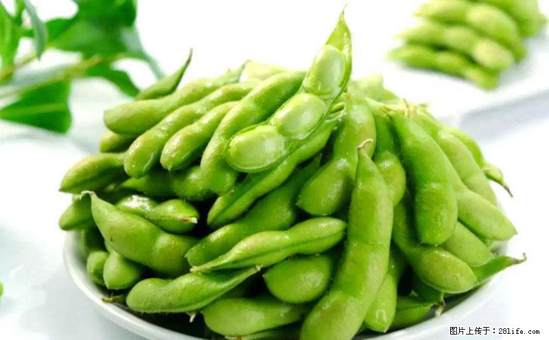 这些蔬菜是“天然钙片”，这6种被医生重点推荐 - 朝阳生活资讯 - 朝阳28生活网 cy.28life.com