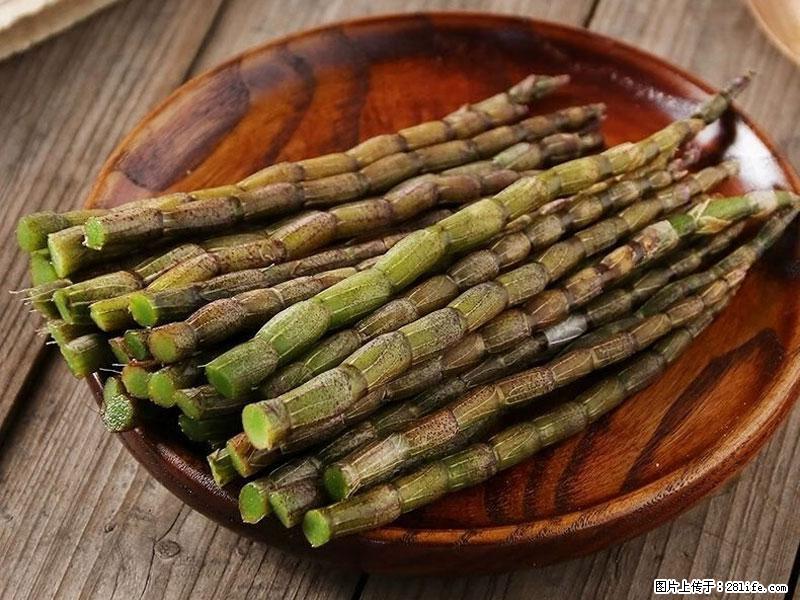 铁皮石斛的作用与功能主治 - 朝阳生活资讯 - 朝阳28生活网 cy.28life.com