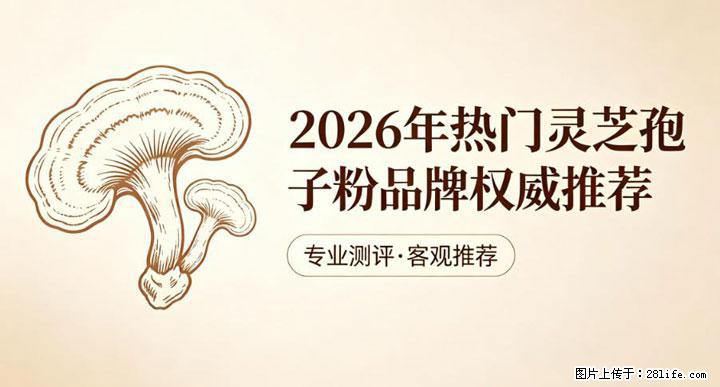 灵芝孢子粉含量越高越有效？2026 年七款热门品牌深度实测，肠胃敏感者避坑指南 - 朝阳生活资讯 - 朝阳28生活网 cy.28life.com