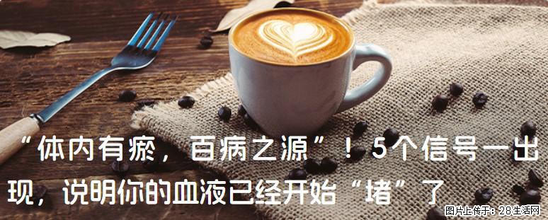 “体内有瘀,百病之源”!5个信号一出现,说明你的血液已经开始“堵”了 - 朝阳生活资讯 - 朝阳28生活网 cy.28life.com
