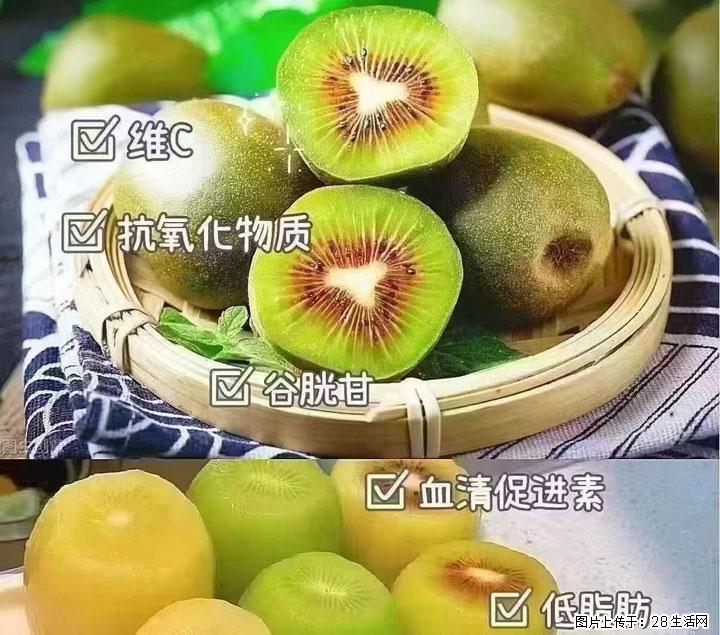 广西桂林平乐桥亭【红心猕猴桃】、【大秋甜柿】上市啦，欢迎各位新老客户下单（另有少量小果出售） - 朝阳生活资讯 - 朝阳28生活网 cy.28life.com