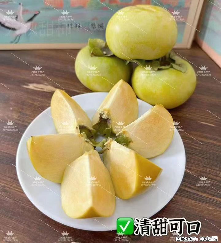 广西桂林平乐桥亭【红心猕猴桃】、【大秋甜柿】上市啦，欢迎各位新老客户下单（另有少量小果出售） - 朝阳生活资讯 - 朝阳28生活网 cy.28life.com